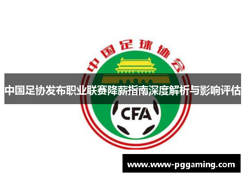 中国足协发布职业联赛降薪指南深度解析与影响评估