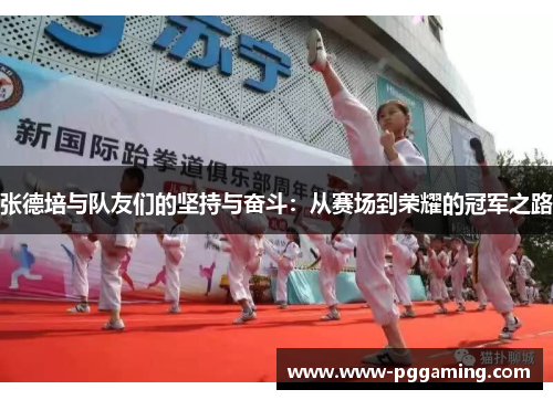 张德培与队友们的坚持与奋斗：从赛场到荣耀的冠军之路
