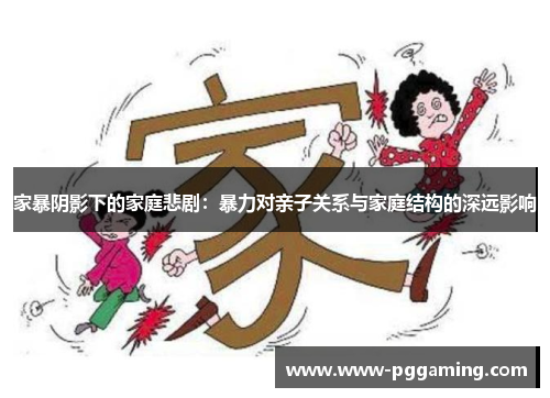 家暴阴影下的家庭悲剧：暴力对亲子关系与家庭结构的深远影响