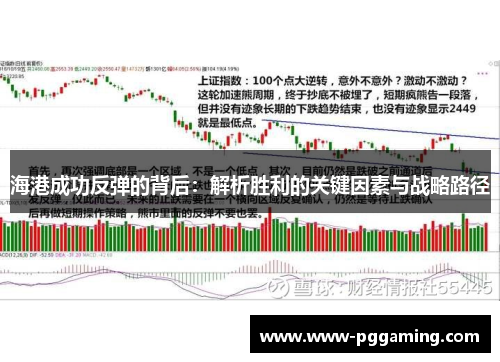 海港成功反弹的背后：解析胜利的关键因素与战略路径
