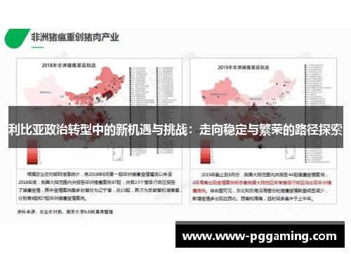 利比亚政治转型中的新机遇与挑战：走向稳定与繁荣的路径探索