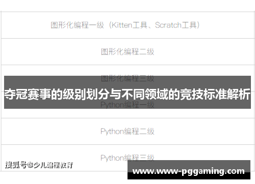 夺冠赛事的级别划分与不同领域的竞技标准解析