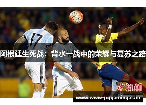 阿根廷生死战：背水一战中的荣耀与复苏之路