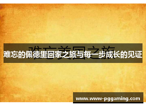 难忘的佩德里回家之旅与每一步成长的见证 难忘的佩德里回家之旅与每一步成长的见证