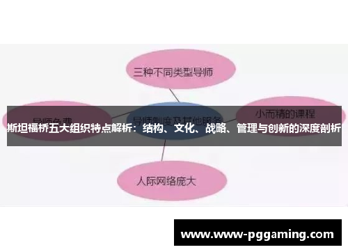 斯坦福桥五大组织特点解析：结构、文化、战略、管理与创新的深度剖析