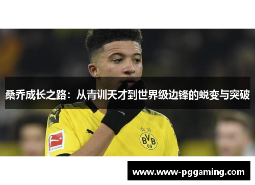 桑乔成长之路:从青训天才到世界级边锋的蜕变与突破 桑乔成长之路:从青训天才到世界级边锋的蜕变与突破
